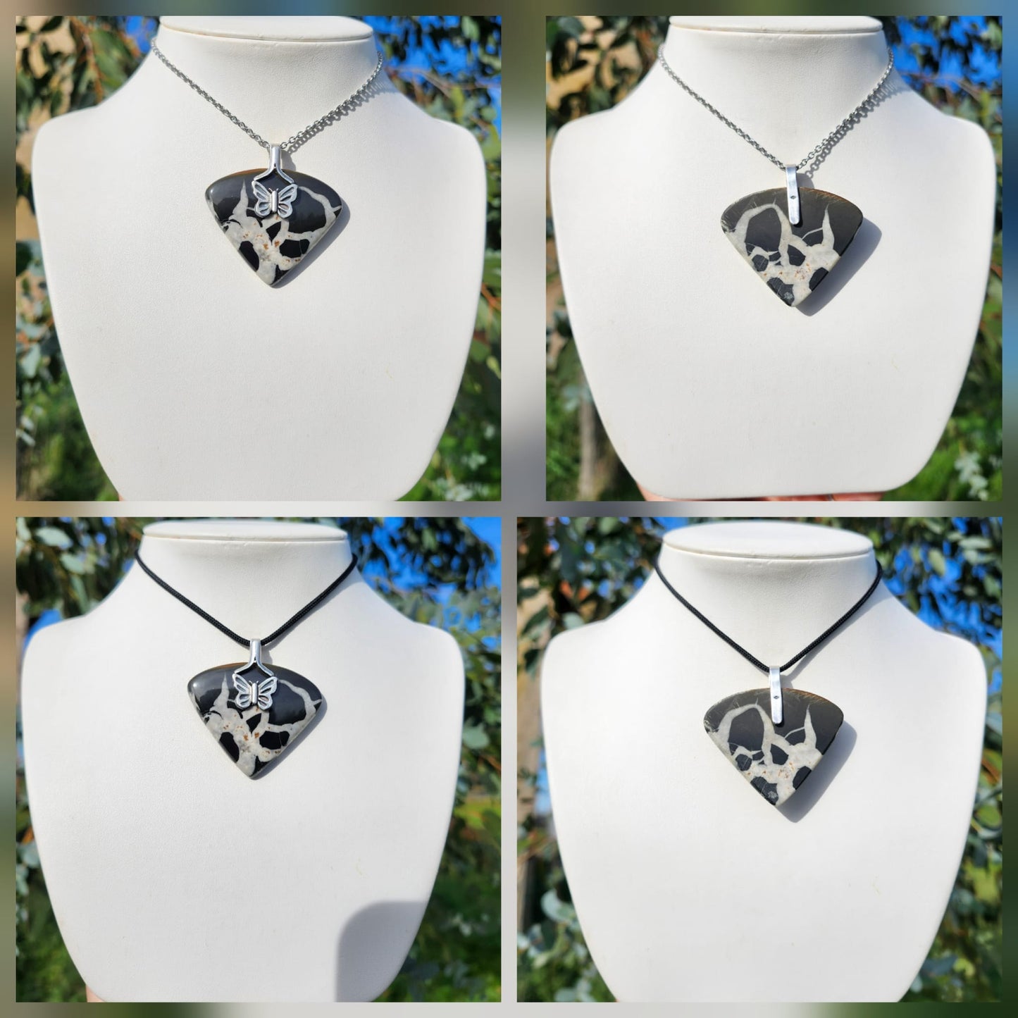 Les Gardiens de l’Hiver Papillon Septaria